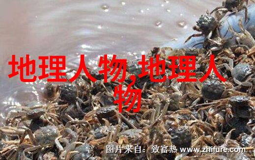 中国历史上第一位通西域的使者张骞