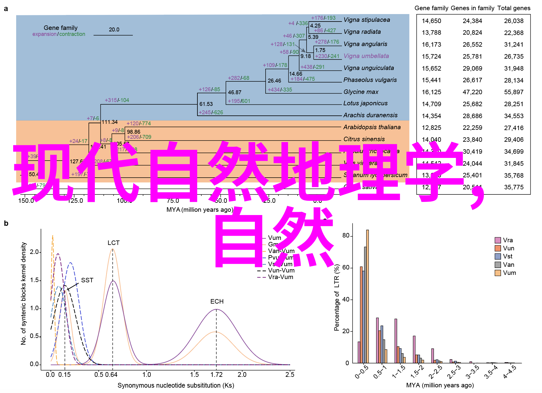 什么是干旱区